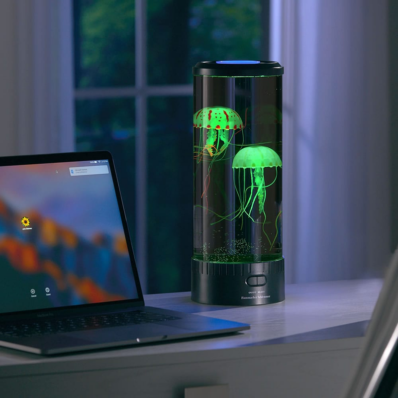 The Hypnotic Jellyfish Aquarium - woowwish.com
