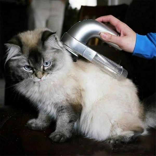 Pet Vacuum Cleaner - woowwish.com