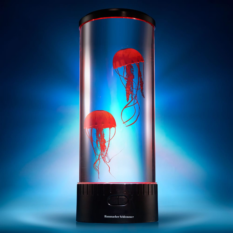 The Hypnotic Jellyfish Aquarium - woowwish.com