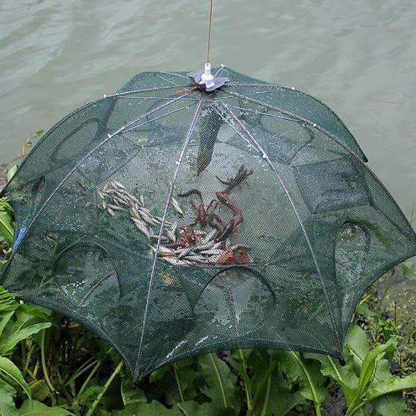 Crayfish Trap Cast Net - woowwish.com